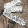 white lace edging product photo